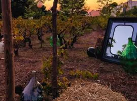 Chill Garden Experience B&B