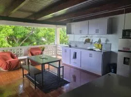 Graeme Hall Park Apartment