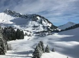 Chalet Les 3 Ours By Leavetown Vacations