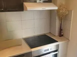 διαμέρισμα Αλαμάνας 9