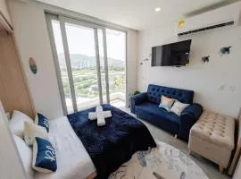 Salguero suite 714