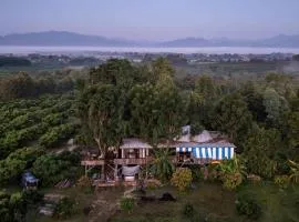 Napahong Treehouse นาป่าฮง