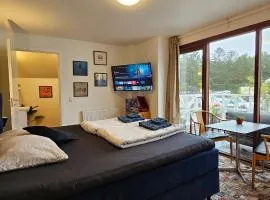 Olsson B&B