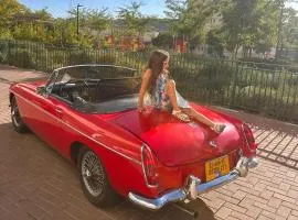 Classic car tour