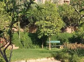 KASBAH Jardin des délices Timalizen
