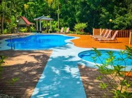 El Sueno Tropical