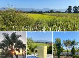 The Bougainvillea cottage farmstay near Dehradun , 2 bedroom private cottage next to fields and orchards with hill views