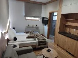 Apartments D035 & D032 in Aparthotel Vucko, Jahorina-private host