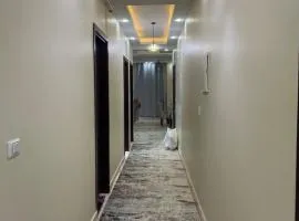 شقه فندقيه في الشيخ زايد