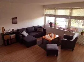 Sunny, spacious, and quiet apt