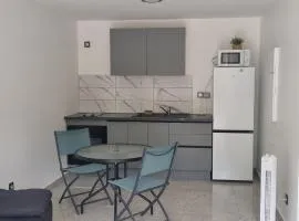 F2 Meublé - GOSIER - possibilité location véhicule