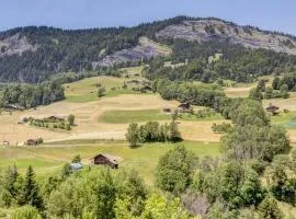 Chalets des Evettes- appartement vue montagne