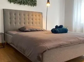 Spacious room in coliving apartment Zimmer 1