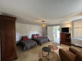 Appartement centre-ville La Roche-Posay, jardin, terrasse, WIFI, lave-vaisselle - FR-1-541-147