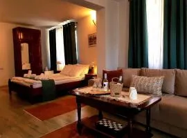 Dvata Smurcha Central Apartments - Free Parking