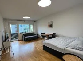 Ruhig gelegene Garconiere in Waltendorf