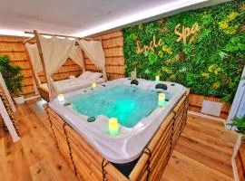 JUNGLE SPA-4 Pers-Jacuzzi-Parking-Jardin-Clim-Colmar