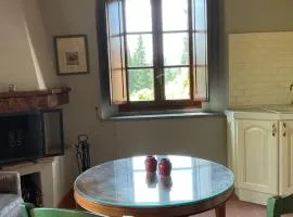 Suite 50
