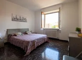 Chiwi's Home 2