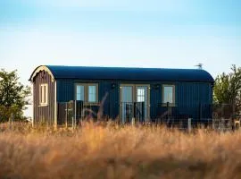 Head For The Hills Glamping - Shepherd's Hut