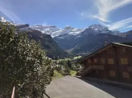 Delightful one bedroom apartment in Les Diablerets