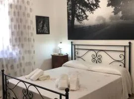 Casinacheta