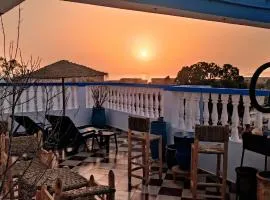 Freebird Hostel