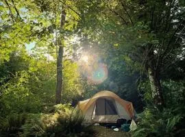 Acampamento no Camping Sagrada Natureza