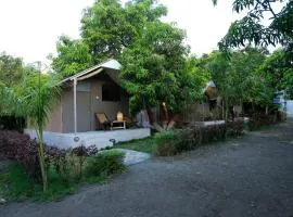 Amber Resort