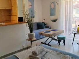 Deux beaux studios, rue piétonne, bord de mer, CLIM