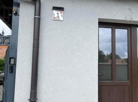 Cazare Balo, hotel en Zărneşti