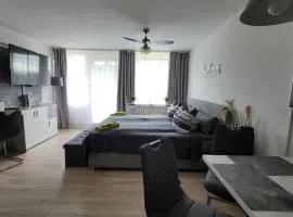 Tolles Appartement mit Klima, Garage für's Auto, Bike's und Skier