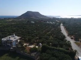 Diktynna Villa