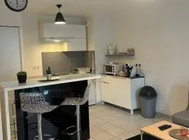 T2 cosy tout équipé à deux pas de la gare de annemasse