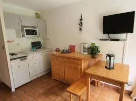 Résidence Grand Serre Che A - STUDIO COIN MONTAGNE 4 PERS MAE-4894