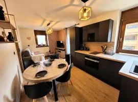 Résidence Le Nabor - Appartement 4 personnes plein centre MAE-2641