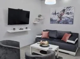 Apartmani i sobe Gromilovic Apartman 4