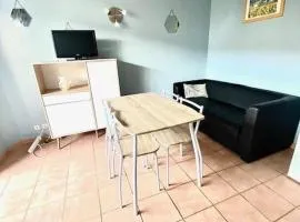 T2 cabine avec piscine collective, parking, climatisation, pour 4 personnes