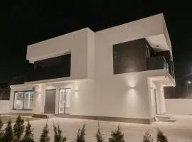 Luxury Villa Ilidza