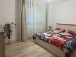 Apartament Narcis