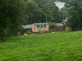 Foxgloves, luxe tent in Brompton Regis