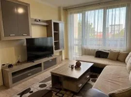Cozy apartment - free parking