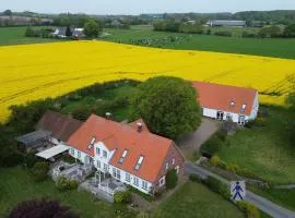 Fjordvejen Apartments