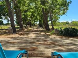 Masseria Vivi il Salento