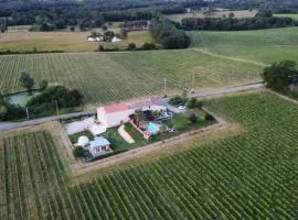 Bubulles dans les vignes