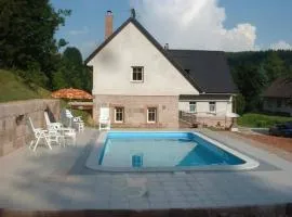 Vidochov Apartment with Pool Access