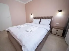 Cozy Deluxe Apartments Near by Mall