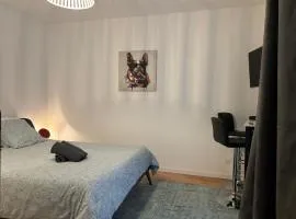 Les Studios de Clément