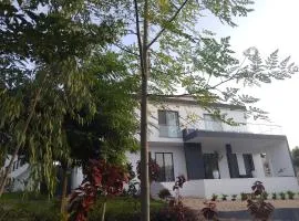 pesvilla