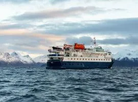 24hrs Northern Lights & Whale Watching Cruise